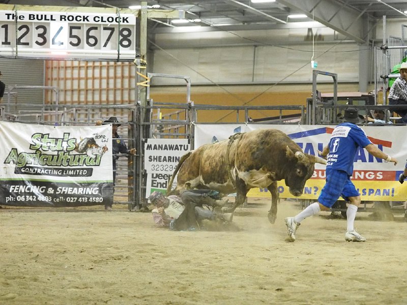 Final_round_140315_26.jpg