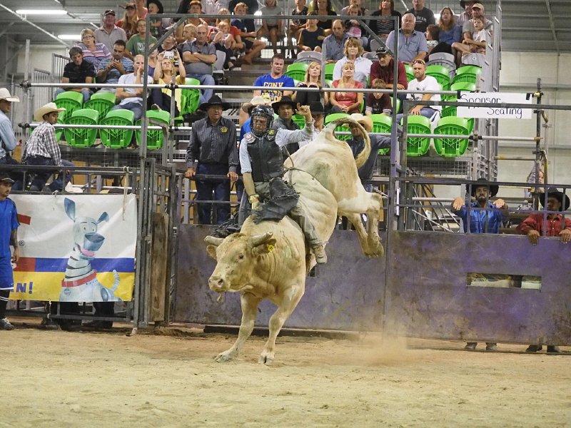 Final_round_140315_33.jpg