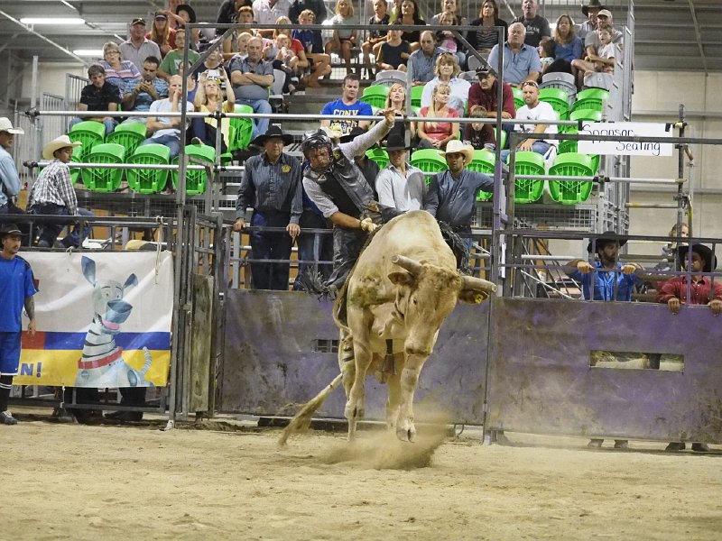 Final_round_140315_37.jpg