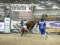 Manfield_rounds_3-4_140315_103