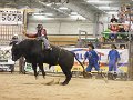 Manfield_rounds_3-4_140315_146