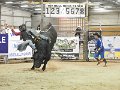 Manfield_rounds_3-4_140315_155