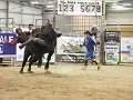 Manfield_rounds_3-4_140315_158