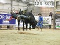 Manfield_rounds_3-4_140315_160