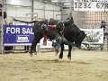Manfield_rounds_3-4_140315_164