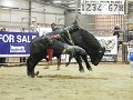 Manfield_rounds_3-4_140315_165