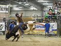 Manfield_rounds_3-4_140315_202