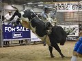Manfield_rounds_3-4_140315_260