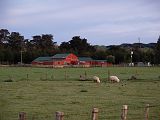 Mangaweka1