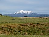 Ruapehu_Waiouru