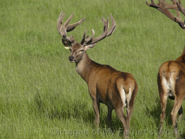 rseRedDeer_Pukawa21-01.jpg