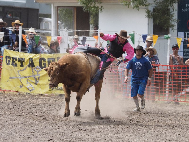 Gibson Rodeo Gisborne Rodeo 2015/Gisborne_Rodeo_271215_833
