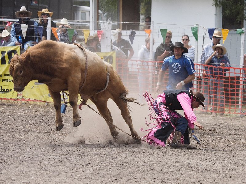 Gibson Rodeo Gisborne Rodeo 2015/Gisborne_Rodeo_271215_836